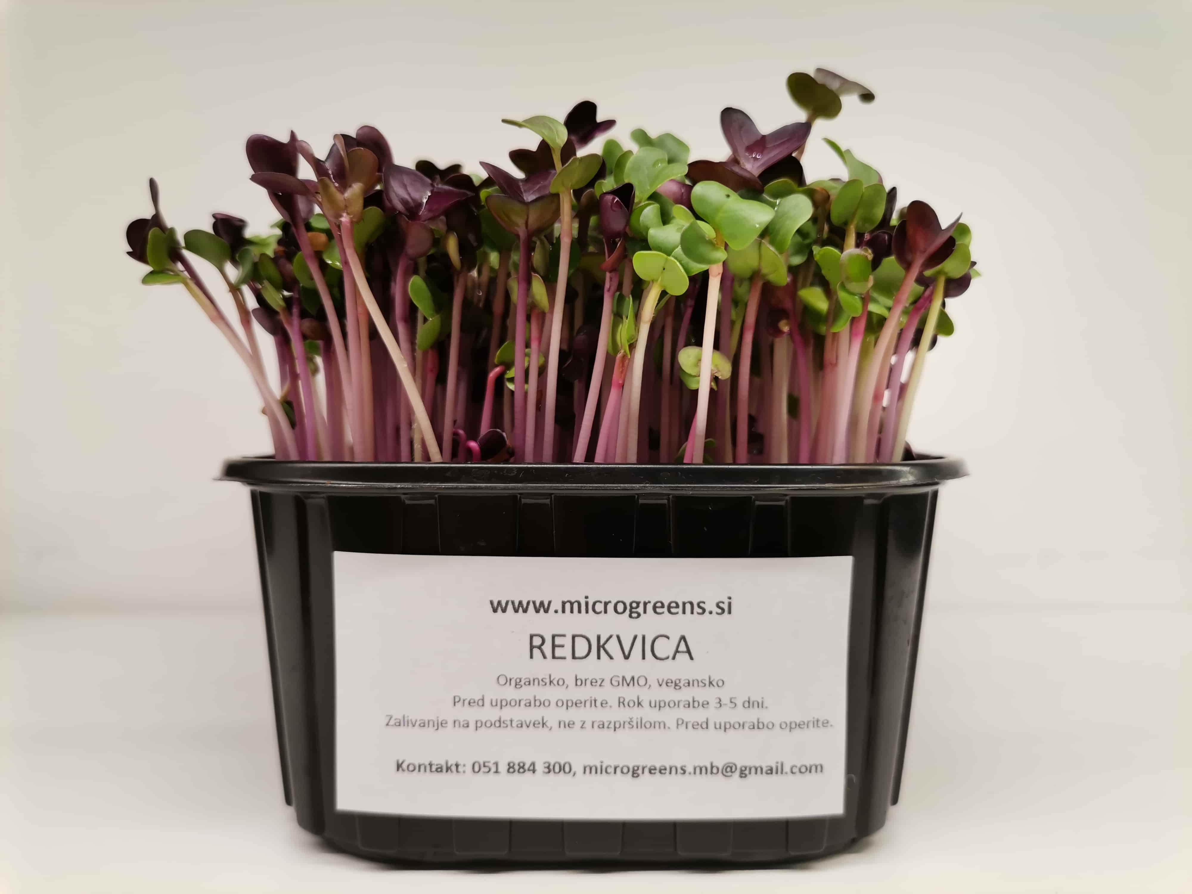 Redkvica